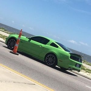 Meet your Posher, Bruce